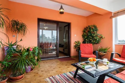 Seaside Oasis Apartments on Island Ugljan - O...