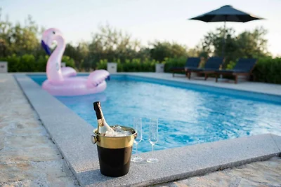 Villa eines Olivenhains in der Nähe von...