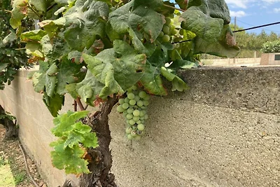 Casa vacanze con 1 camera da letto