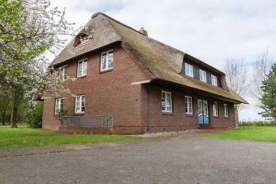 Objekt 13 || Nieblum