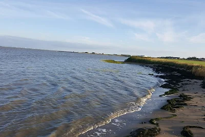 Sommerhaus mit Pool und Sauna