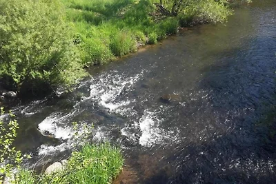 In der Region (Sommer) (>5 km) In der Region (Sommer) (>5 km)