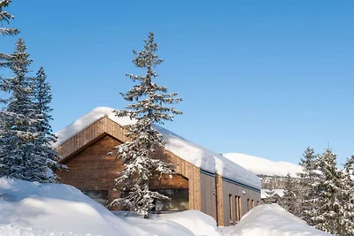 Hytte Trysil T2027