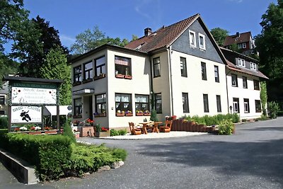 Gezellige vakantiewoning in de Harz