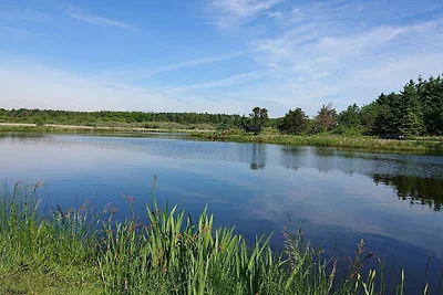 7 Personen Ferienhaus in Løgstør-By Traum