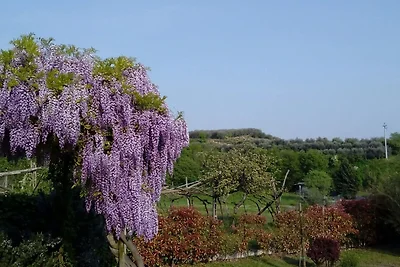 Villetta con giardino, terrazza e barbecue