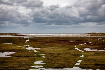 Vakantiehuis op Texel met eigen terras