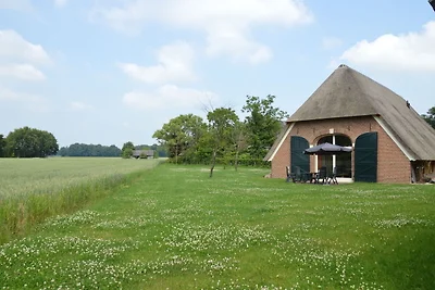 Gemütliches Bauernhaus in Geesteren mit...