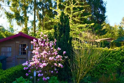 Chalet a Garderen con giardino