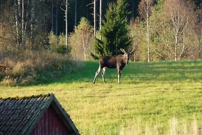 7 Personen Ferienhaus in Oviken-By Traum