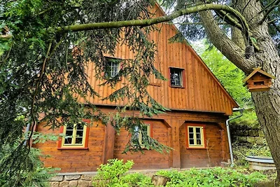 Vakantiehuis in Sebnitz met zwembad
