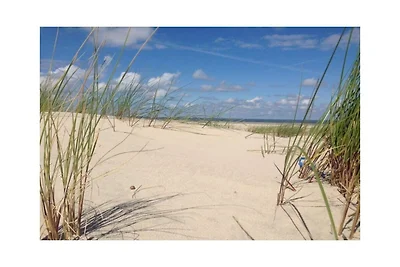 Ferienwohnung "Schnorr"