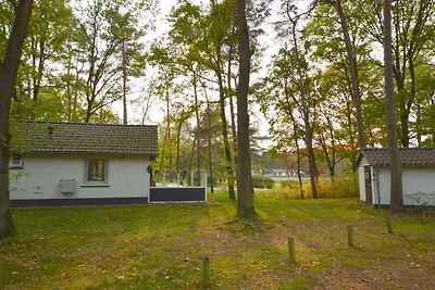Abgeschiedene Ferienwohnung in dichtem Wald