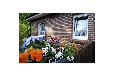 Ferienhaus in Sögel mit Barbecue