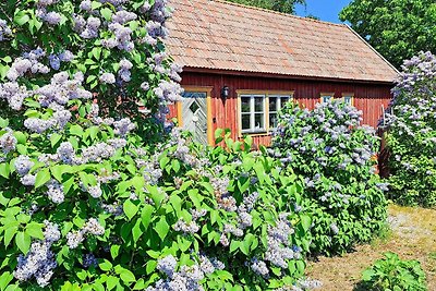 8 Personen Ferienhaus in GOTLANDS.TOFTA