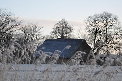 Reetdachkate Sillenserwisch
