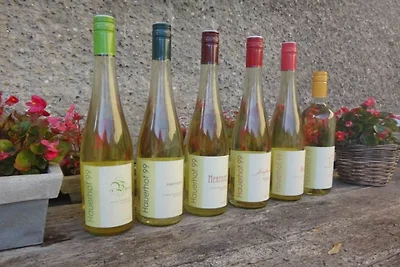1 Domaine viticole Hauerhof 99