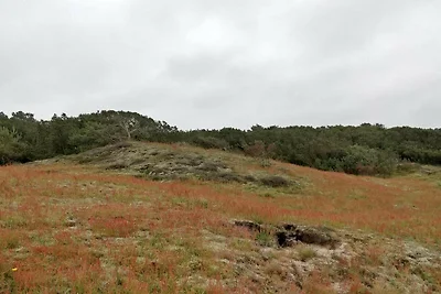 4 Personen Ferienhaus in Fanø-By Traum