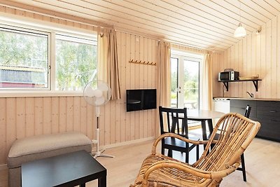 6 persoons vakantie huis in Stege