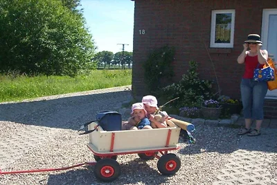 Ferienhaus mit 2 Schlafzimmer