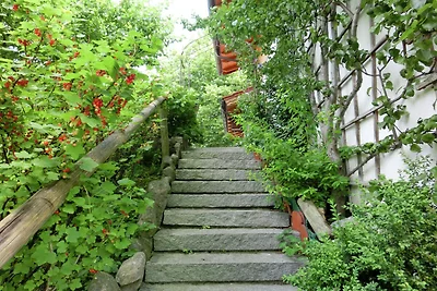 Urok wsi, Bad Bayersoien