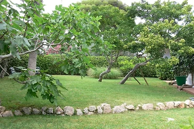 Erholung im Garten und am Strand