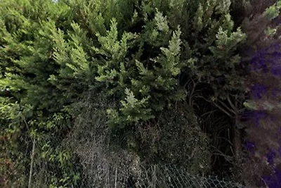 Strahlendes 55 m² Apt. in Bordeaux