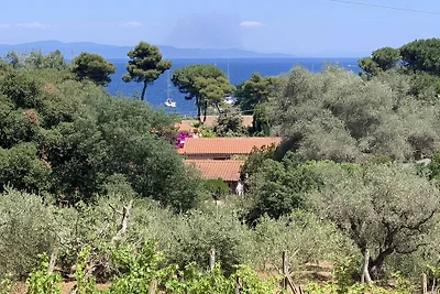 Appartamento Gelsomino