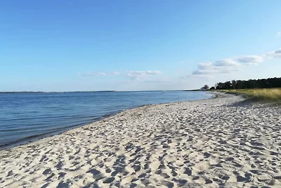 12 Personen Ferienhaus in Egå-By Traum
