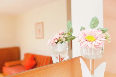 Modernes Appartement mit Sauna in Bolsdorf