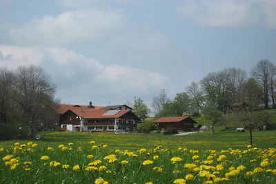 Ferienwohnung mit 1 Schlafzimmer