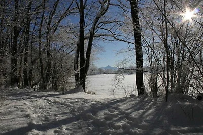 Wohnung in Rückholz mit Schwimmbecken