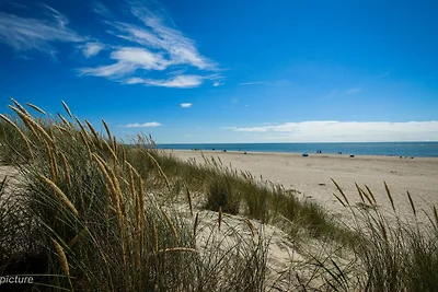 5 Personen Ferienhaus in Blåvand