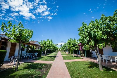 Ruime bungalow met terras