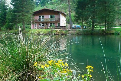 Gezellig vakantiehuis op Forellenhof, Tal der...