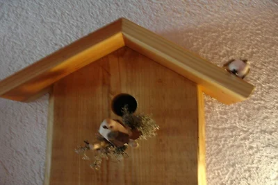 Appartement de vacances « Abendrot »