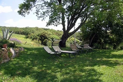 Angenehmes Ferienhaus mit privater Terrasse