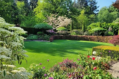 Villa B&B a Overloon con sauna a infrarossi