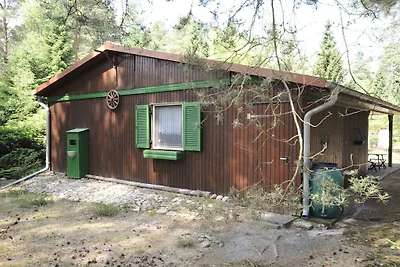 Cabin in Suderburg with swimming pool