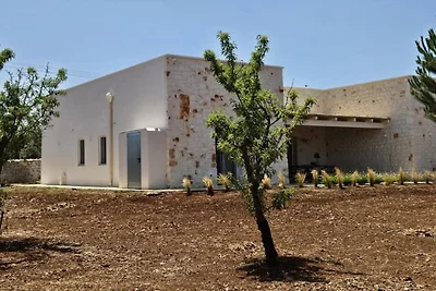 Villa in jahrhundertealtem Olivenhain