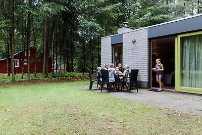 Bungalow ben arredato con camino nella Veluwe