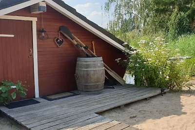 Ferienhaus in Güster mit Schwimmbecken