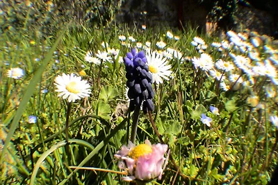 Ferienhaus in Provence mit Pool & Spa