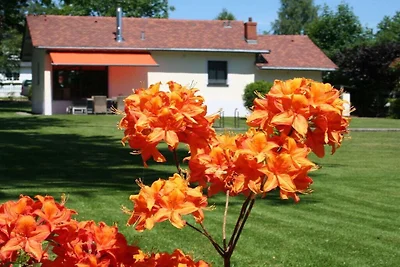 Ferienhaus Erholungsurlaub Befort