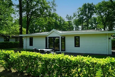 Ferienhaus in Susteren mit Terrasse