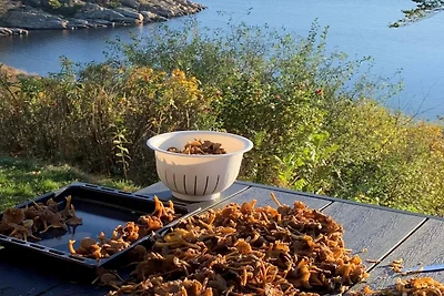 5 sterren vakantie huis in UDDEVALLA