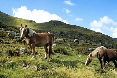 Wohnung in Saalbach nahe Skipisten