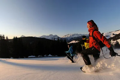 Chalet a Crest-Voland vicino alle piste da...