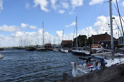 Geräumiges Ferienhaus am See in Friesland