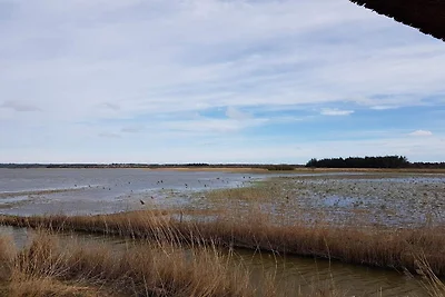 10 Personen Ferienhaus in Frøstrup-By Traum